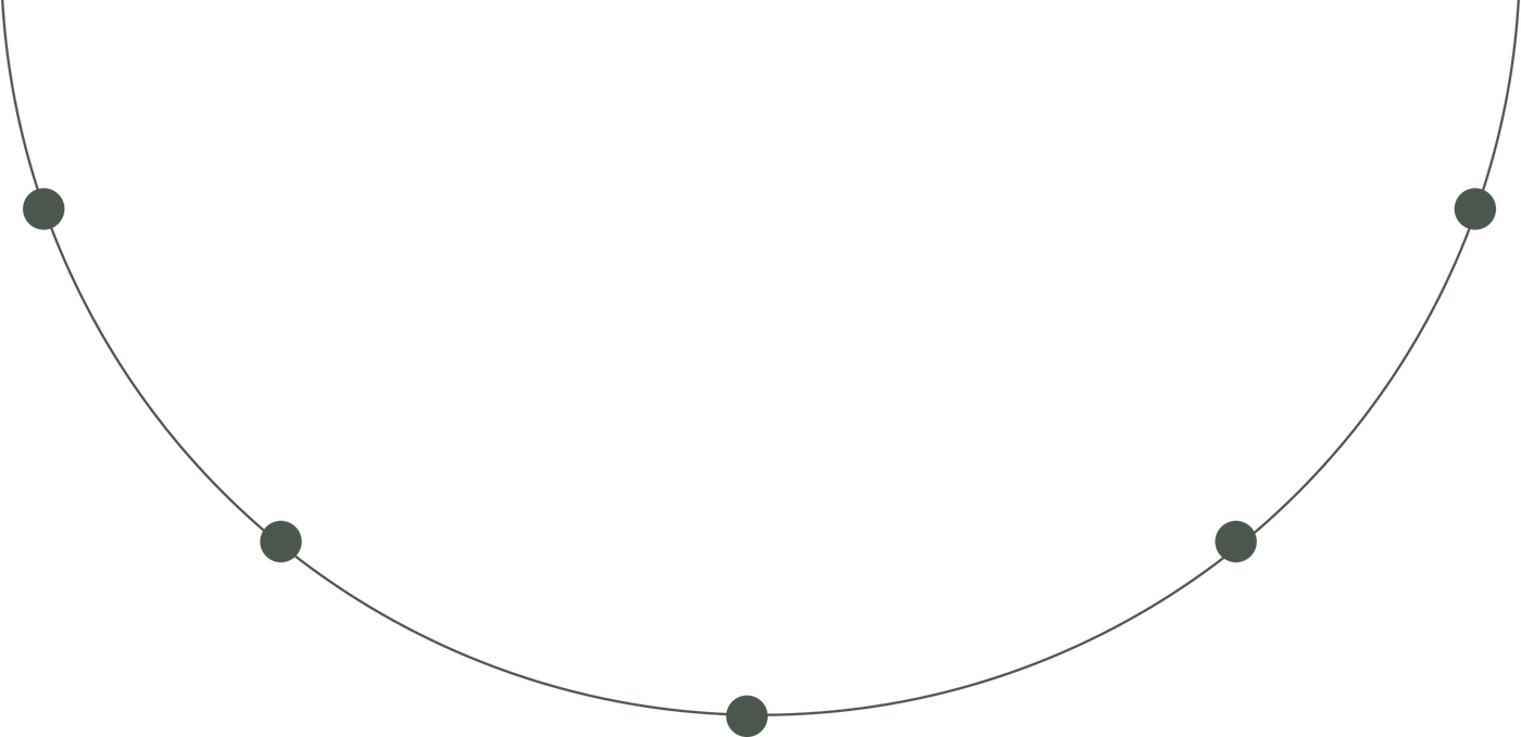 Circular arc diagram